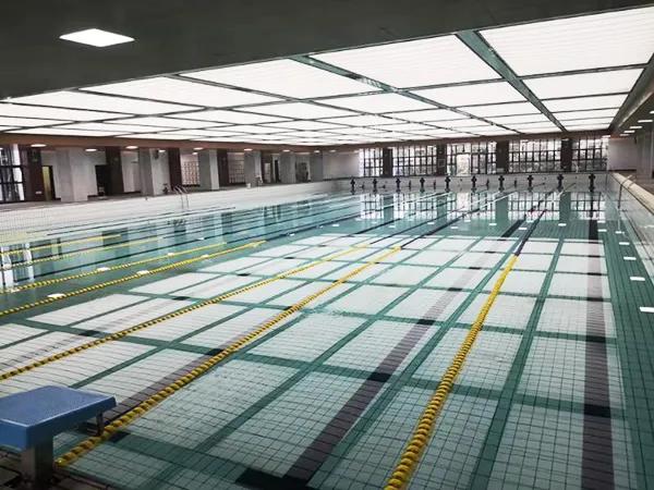 弦歌不辍五十载，上下求索奏华章——郑州市第五十四中学简介