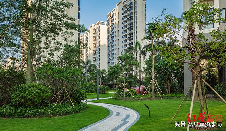 珠海最大“地主”世荣兆业前董事长涉黑,传已滞留境外,检举最高奖50万