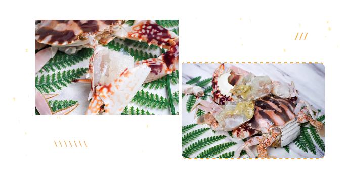 潮老大扁蟹：虽然我“不高”，但是我胜在肉多呀