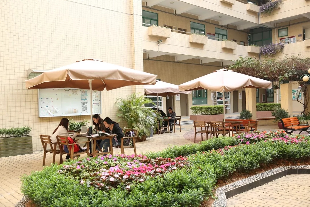 报考人数3000+,录取率仅8%,揭秘深圳牛娃“孵化器”深国交!