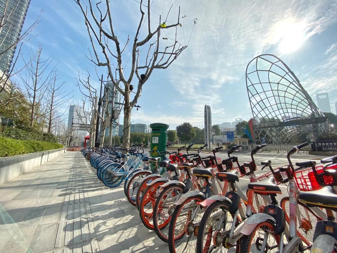 上海2月4日天气,上海2月10日天气