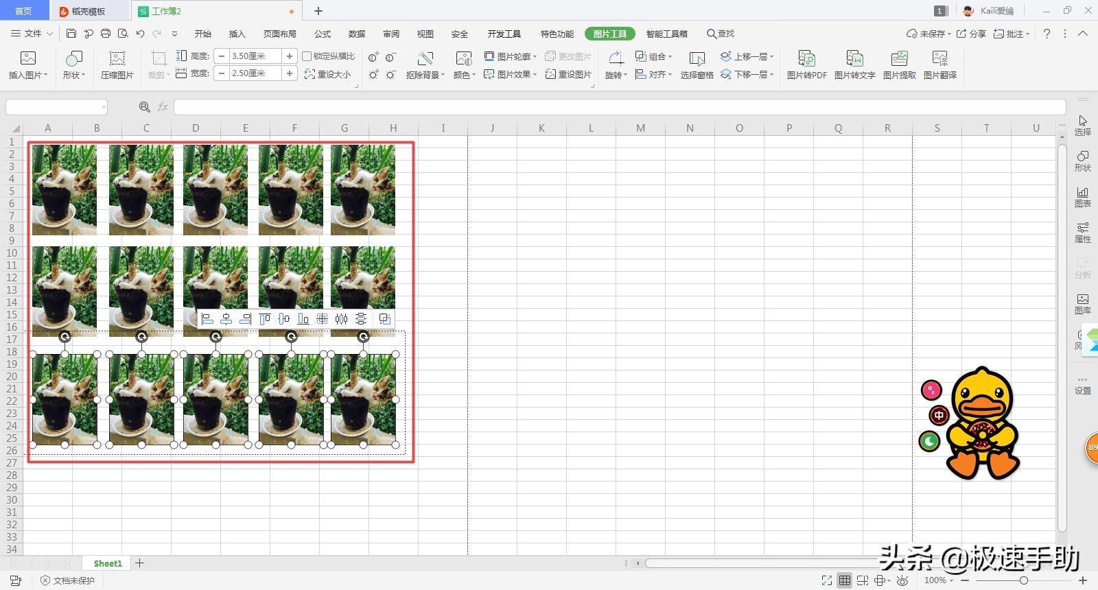 excel如何使用照片纸打印证件照,excel怎么用照片纸打印证件照