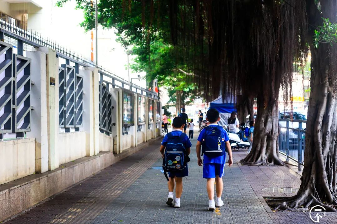 2000万在深圳能买到别墅吗,2000能在深圳租到怎样的房子