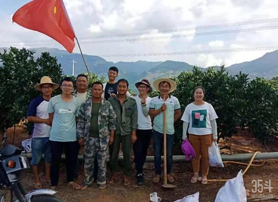 褚橙新农人,褚橙为什么是新农人