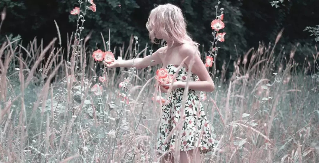 瀹夊埄鏈夊摢浜涘搧鐗屾棗鑸板簵,瀹夊埄鍥介檯澶х墝浜у搧