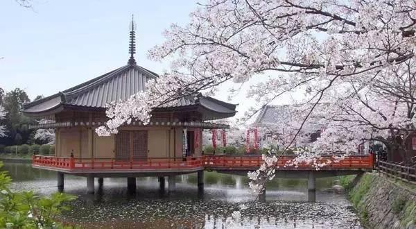 神户和横滨哪个好玩,神户和京都哪个值得去