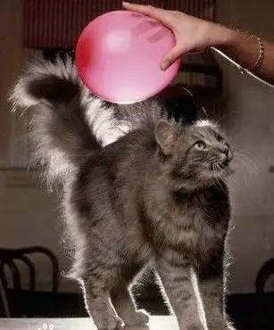 法兰之间为什么要加静电跨接,法兰静电跨接可以连接两个螺杆嘛