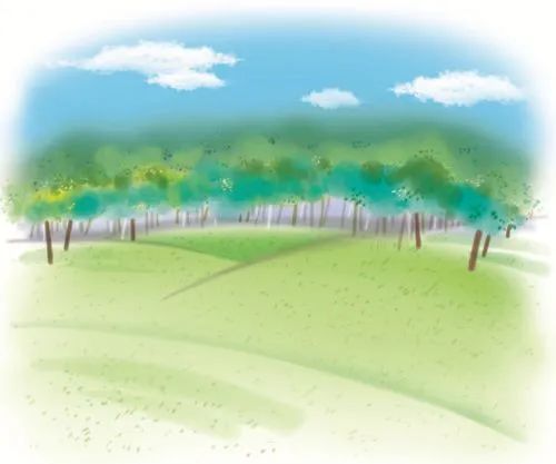 一年级上册语文第3课讲解视频,一年级上册语文第三课教学