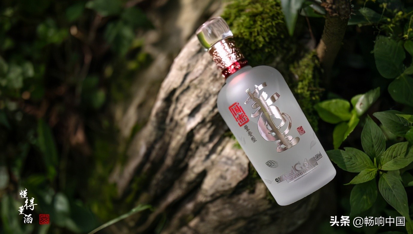 菏泽5人足球锦标赛,2024菏泽市市长杯足球赛