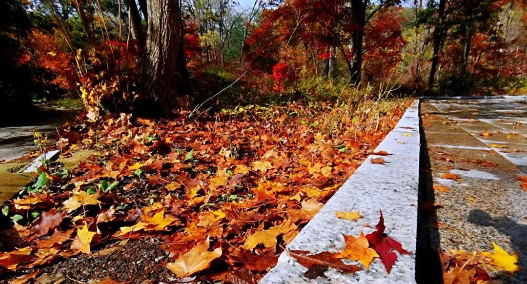 延边迷人风景,延边旅游一日游最佳路线图片