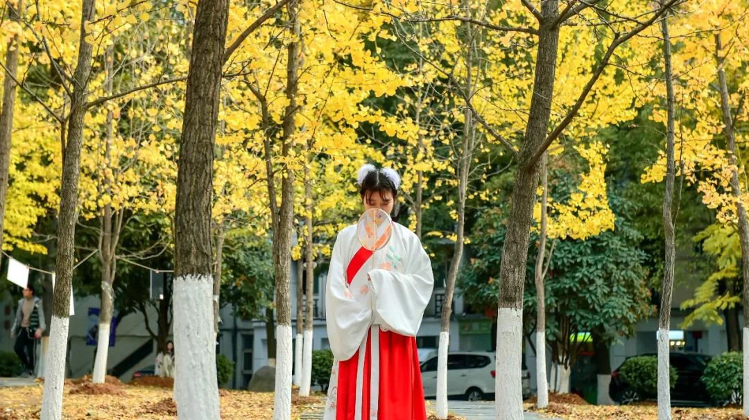 武汉职业技术学院校园风采,武汉职业技术学院风景