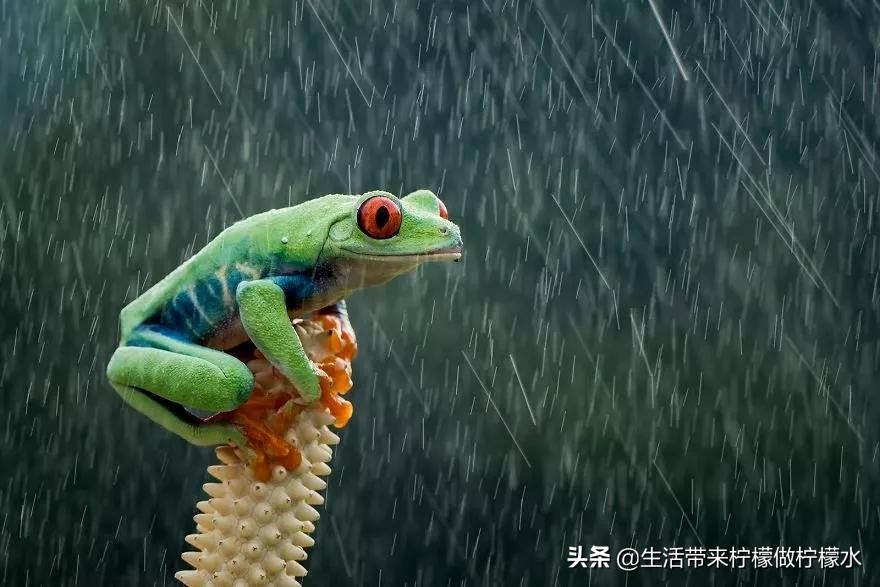 最震撼的34张照片美遍朋友圈,500张最美照片