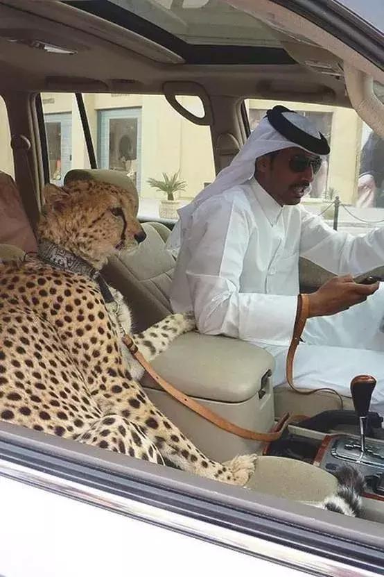 迪拜跟沙特谁有钱,迪拜到底有多有钱