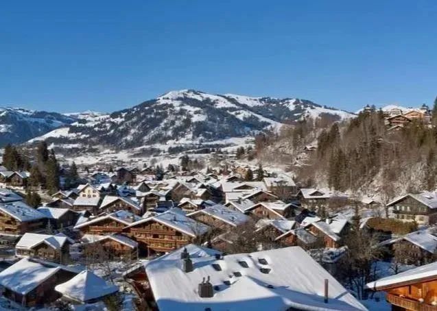 比王菲女儿更贵族的瑞士学校,王菲在瑞士的寄宿学校