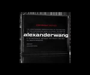 亚历山大王为什么这么火,亚历山大王最火单品