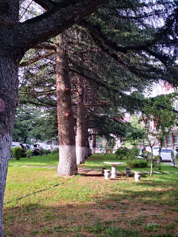 国家电网甘肃电力科学研究院地址,国网甘肃电力公司电科院近期新闻