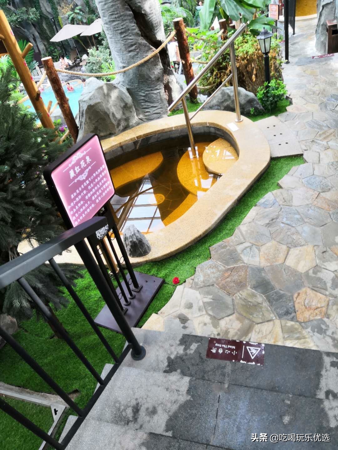 天津仁爱团泊湖温泉夏天,天津热带雨林主题温泉