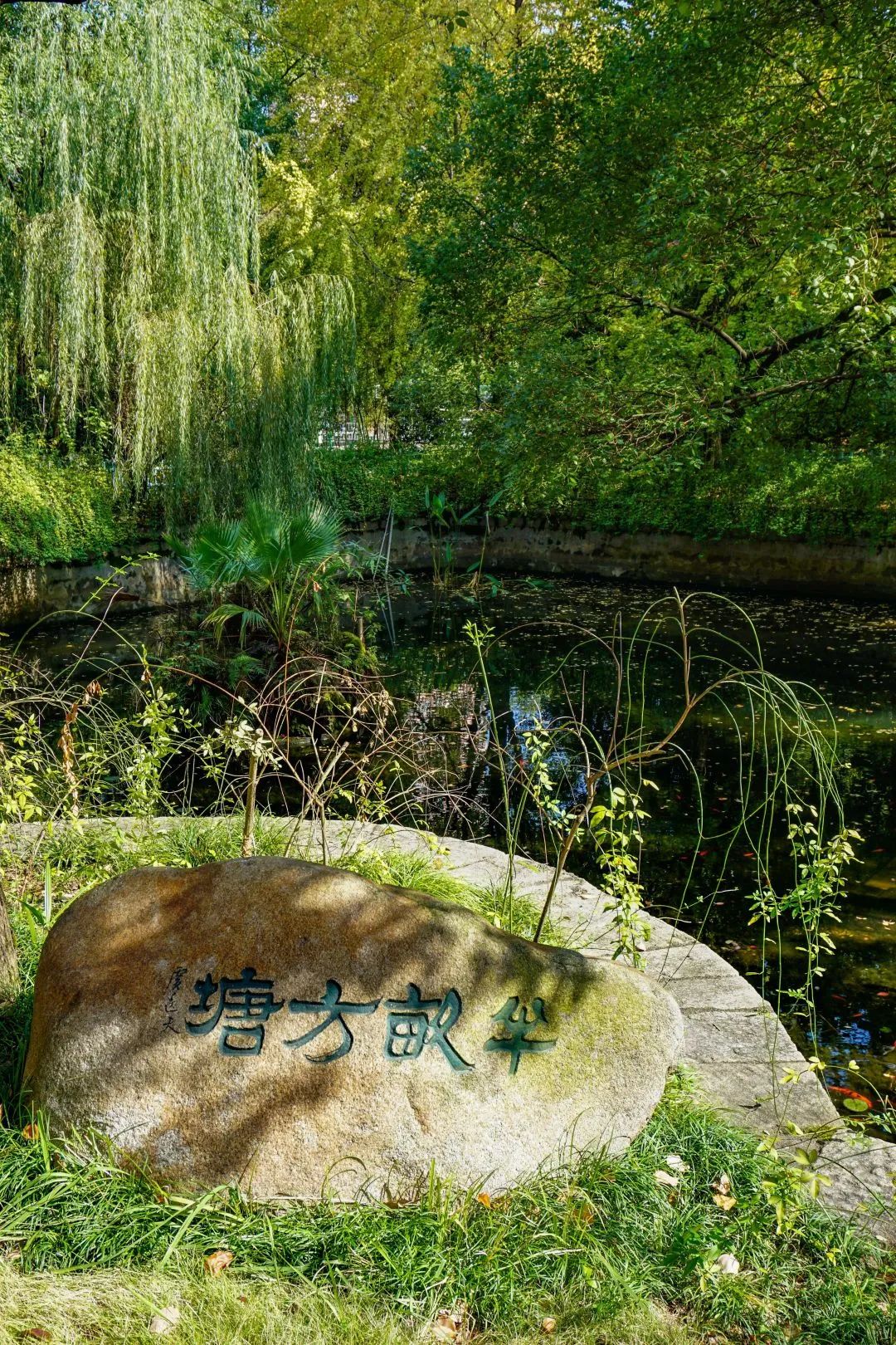 青年毛主席，榜首进一中！他曾就读的长沙市一中究竟有多牛？