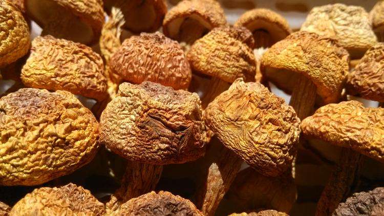 花胶批发市场怎么选花胶,正宗即食花胶批发价格表