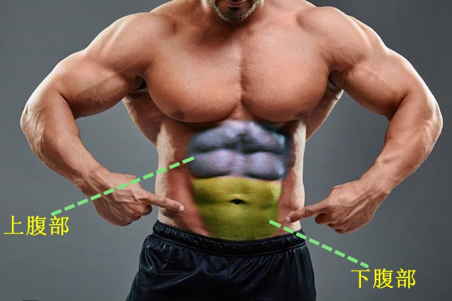 有氧和下腹部训练是连着做吗,空腹下腹部有氧