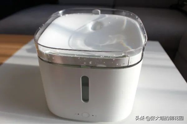 宠物饮水机漏电又爆炸？怎样才能选到安全放心的宠物饮水机？