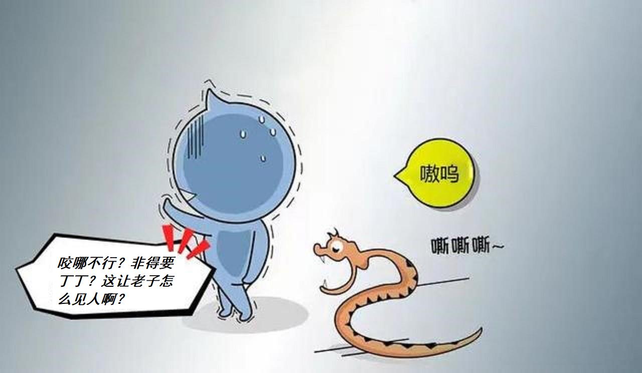 眼镜蛇被蛇咬,最担心的事终于发生了