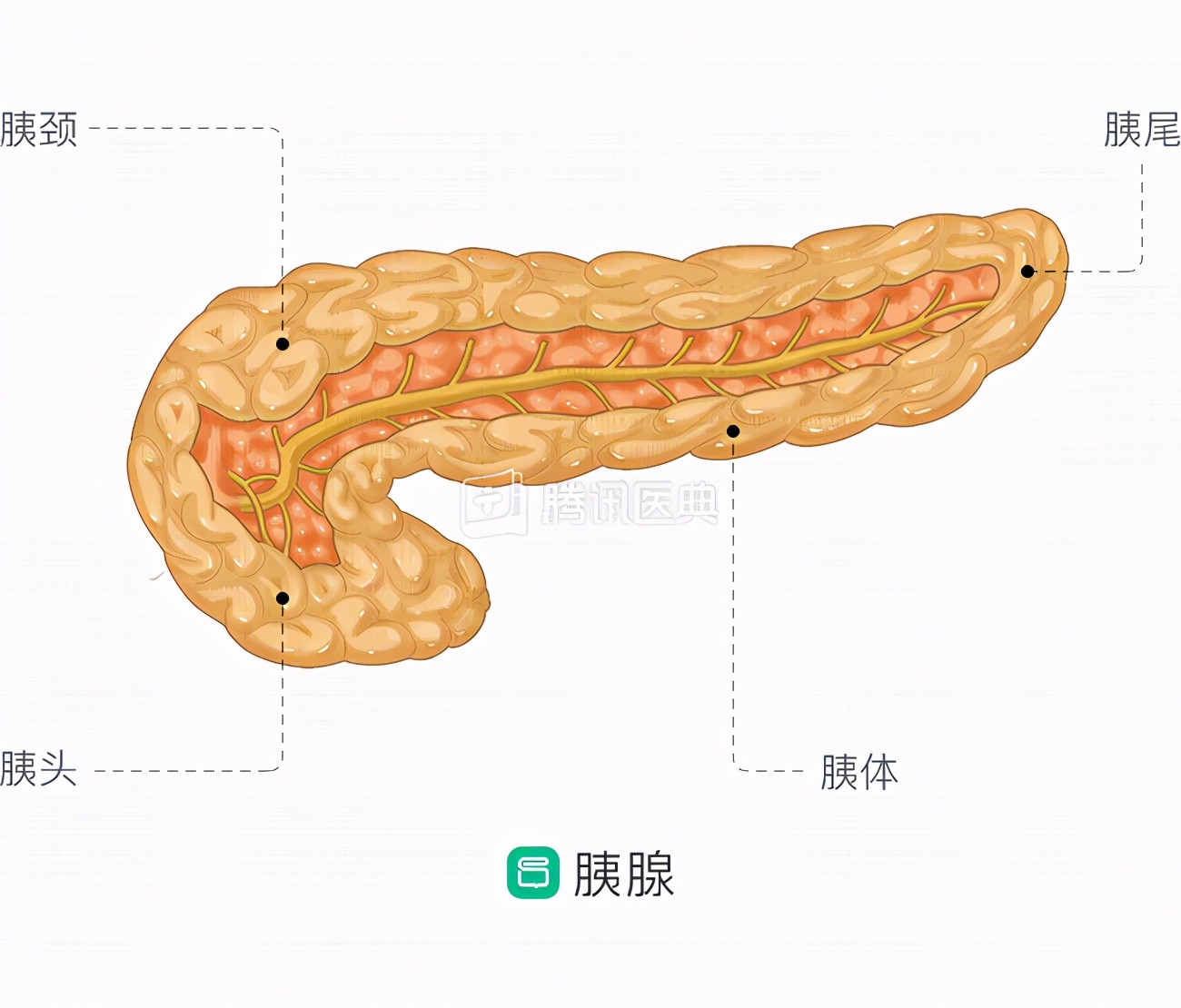 深圳癌症发病率最高的城市,深圳癌症多少例