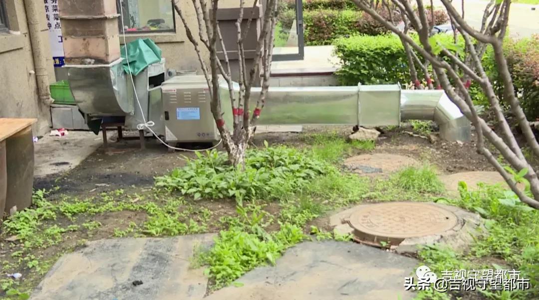 小区仙气飘飘雾气缭绕,小区单元门仙气飘飘