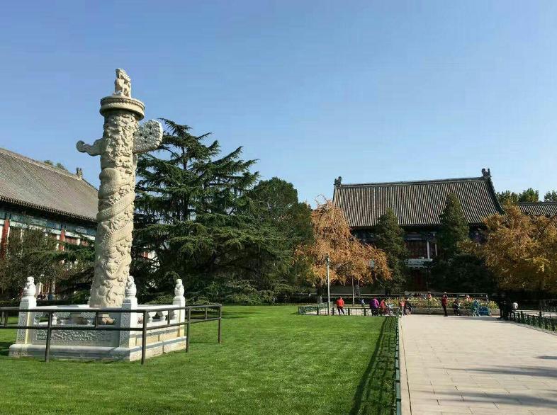 清华北大真正的实力如何,勤奋在天赋面前不堪一击王蒙