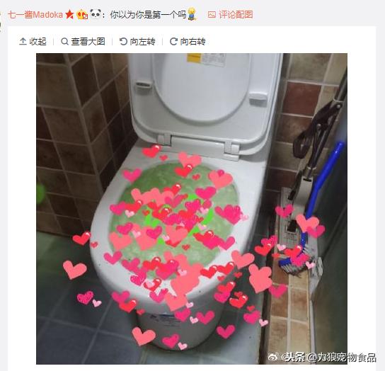 猫砂可以直接倒入马桶吗,猫砂可不可以倒入马桶