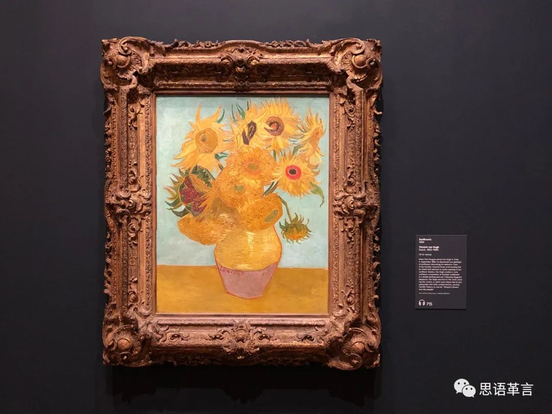 美国行完整版视频,美国行之纽约篇完整版