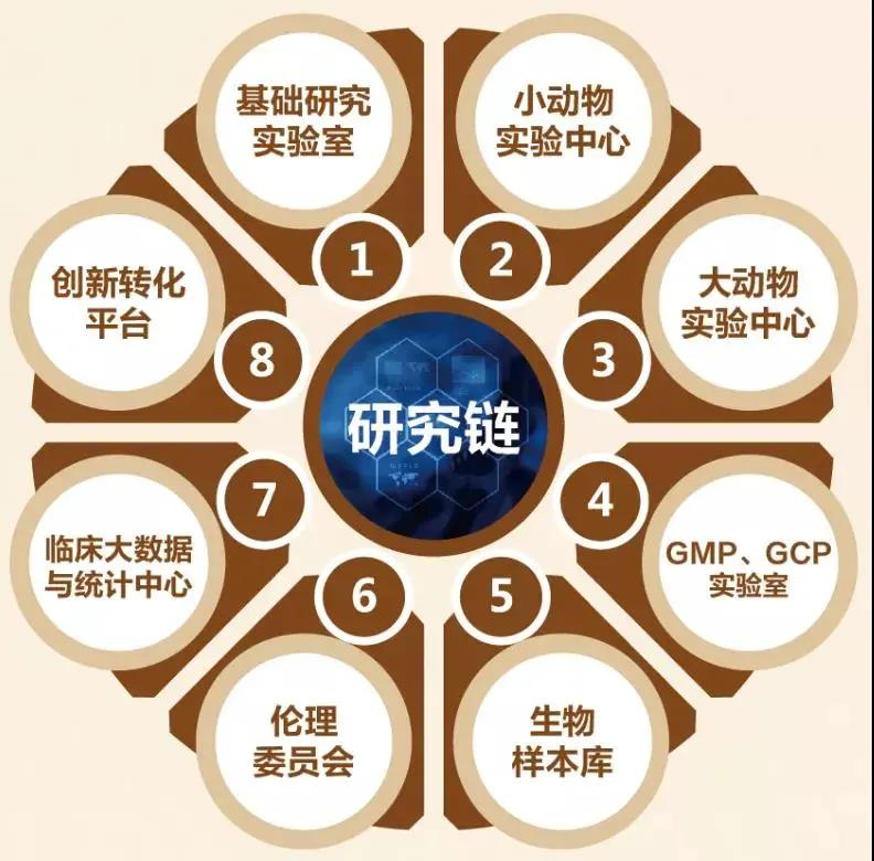 浙大二院管理特色,浙大二院发展情况