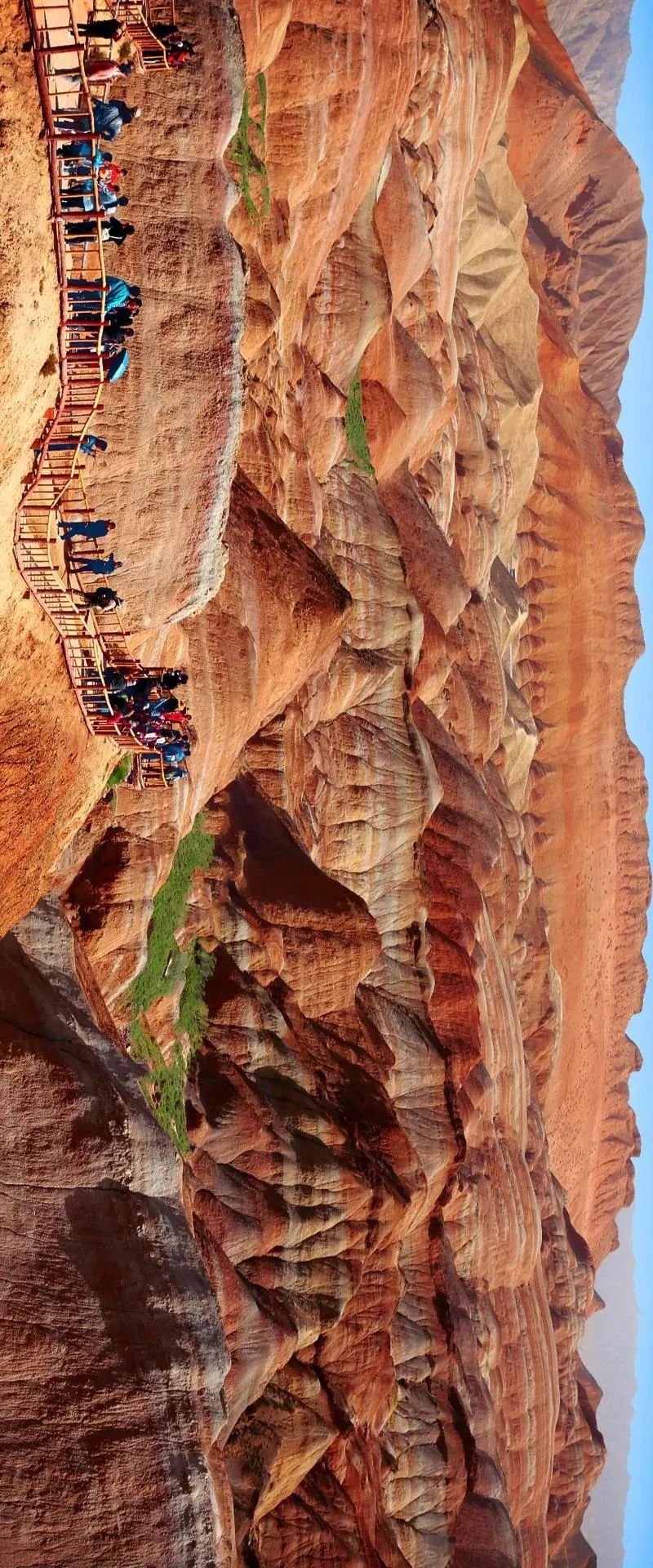 我国第一幅高精度土壤颜色地图,雄鸡图地图