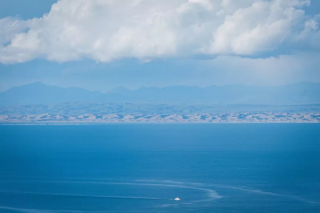 只要你面朝青海湖，八月依旧春暖花开