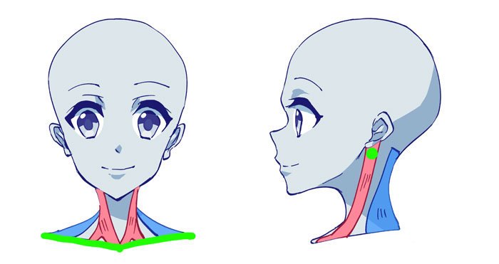 动漫人物怎么画头部,怎么画动漫人物头部结构
