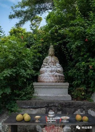 东澳岛电动车环岛旅游,珠海东澳岛徒步攻略