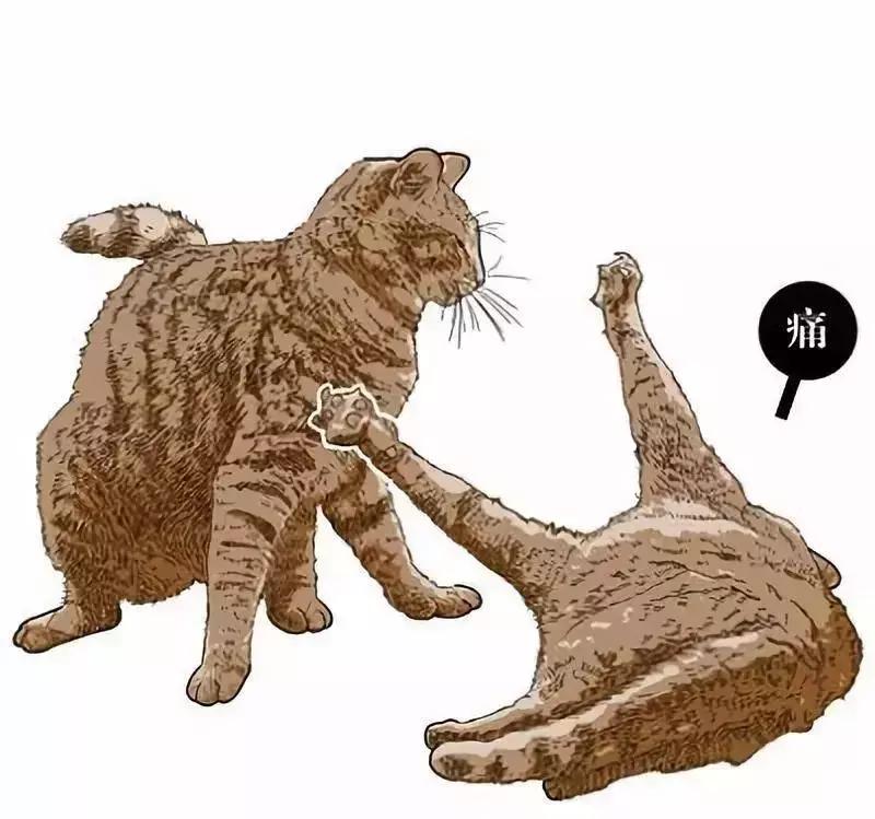 解析女性的各种*梦春**——是否有一种你做过？