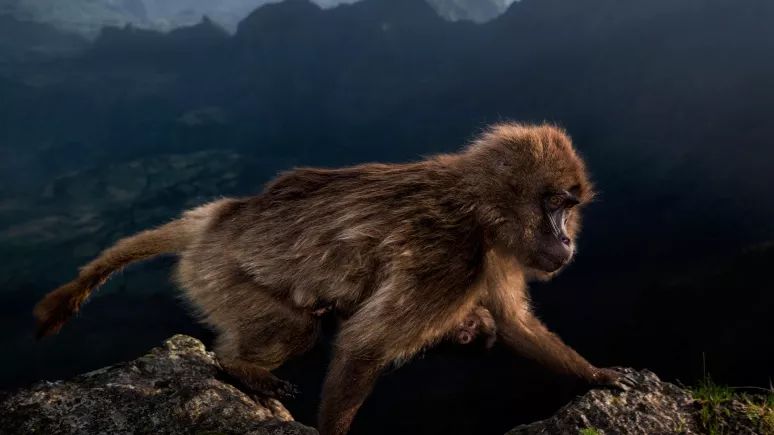 这场Dior杭州时装展，让我梦回2年前的加拿大