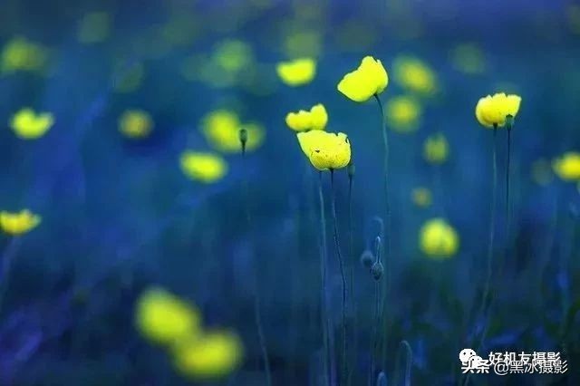 超广角和长焦镜头哪个更实用,广角镜头和长焦镜头优缺点