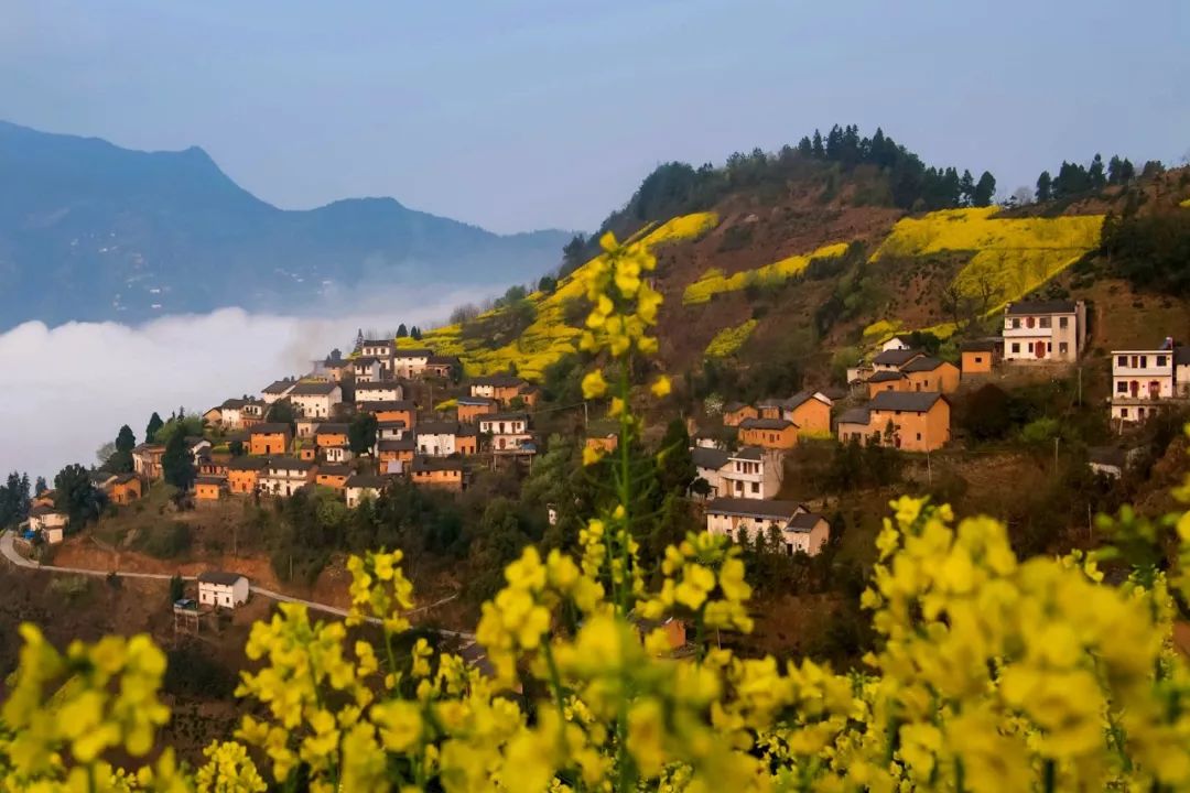 秘境蜘蛛恐惧症任务,破碎之地秘境剧毒蜘蛛怎么打