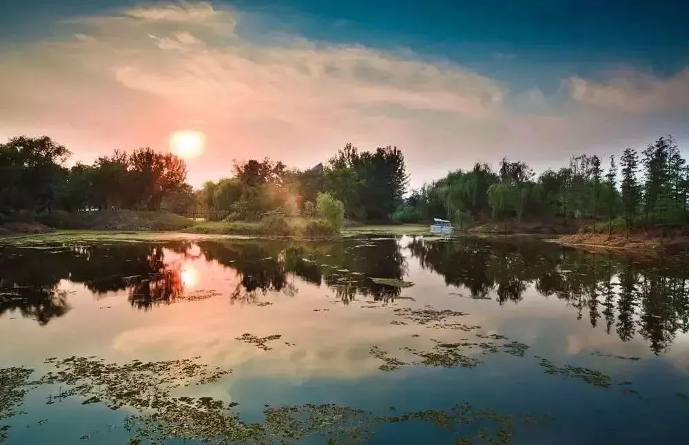 南京这些免费公园，让你任性玩个遍