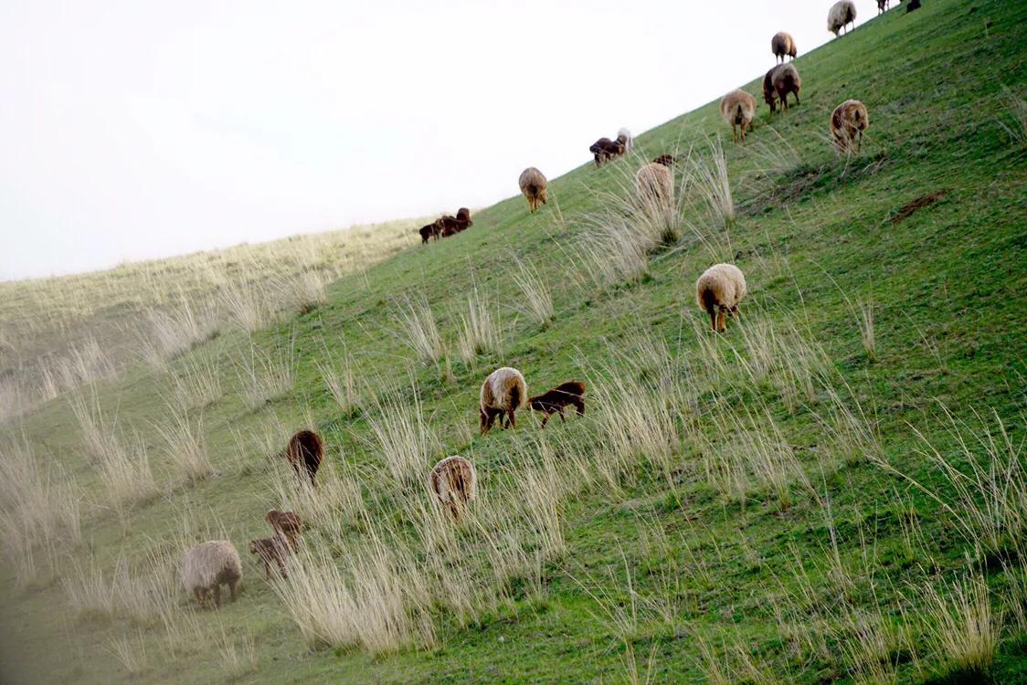 占中国六分之一地盘的*疆新**,12个5A景区N个世界遗产你走过多少?