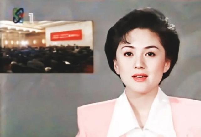 中国美女主播海霞,央视十大美女主播海霞辣评