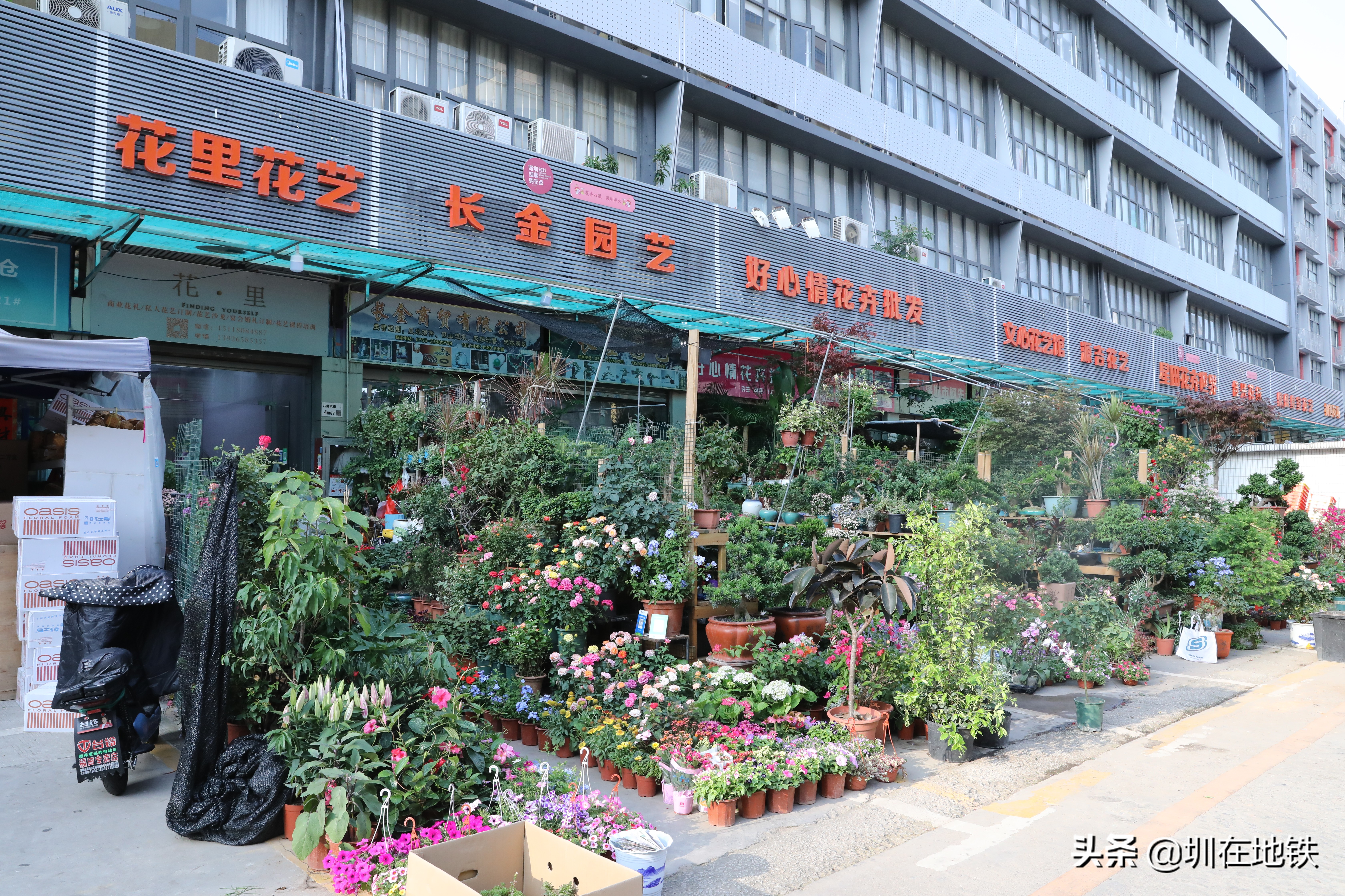 乘坐地铁到滘口花卉市场,从地铁到花卉市场