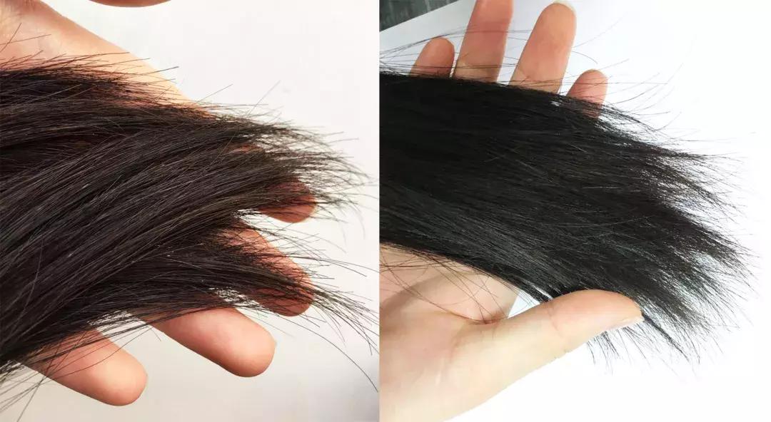 适合清扬的樱花洗发水,明星都在推荐洗发水止痒控油