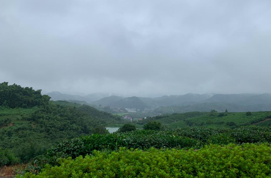 上个月，我去浙江探了探祥生的“老巢”......