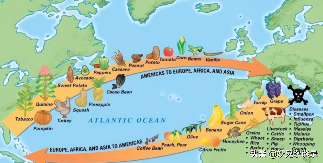 番薯引入中国最早的地方,番薯怎么来的中国