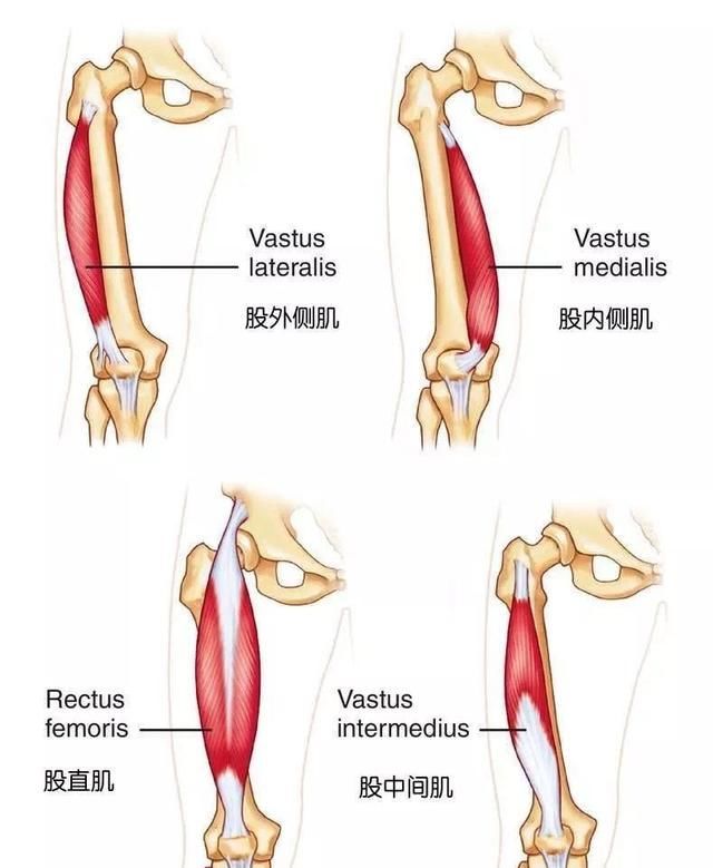 下蹲时膝关节疼痛可能是什么原因,膝关节下蹲到底时疼