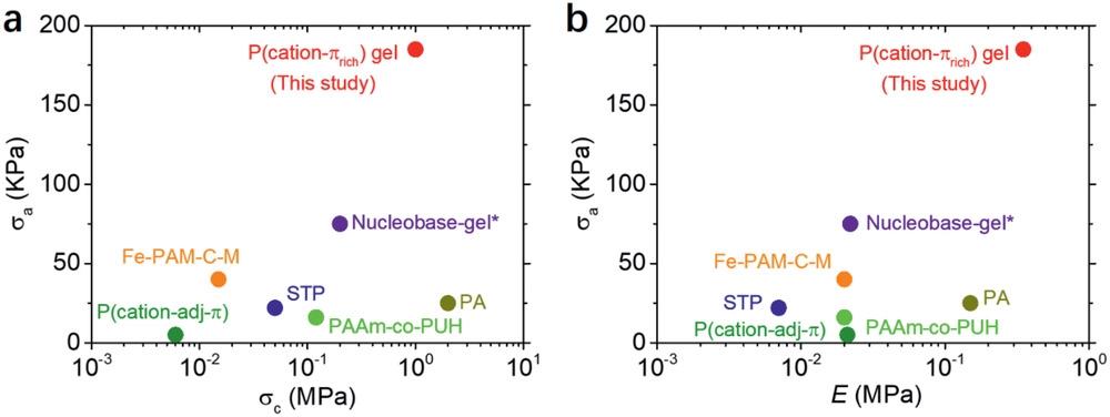 龚建萍简介,龚建萍