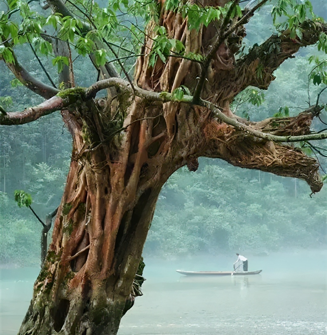 乐山古镇有哪些好吃的 (乐山攻略一日游古镇)
